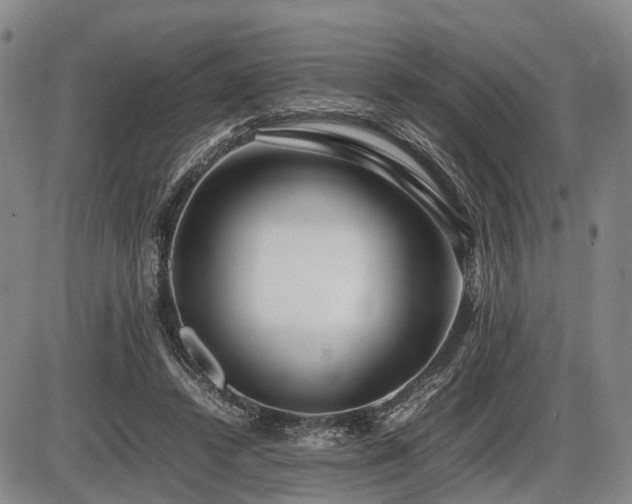 X0000086060448200703301045