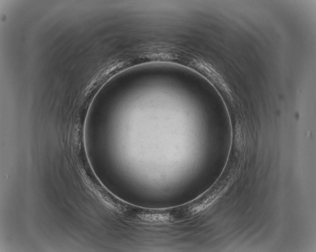 X0000086060449200703301045