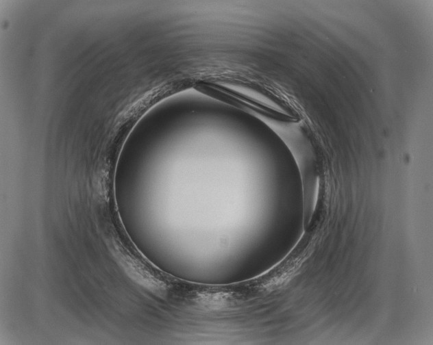 X0000086060450200703301045