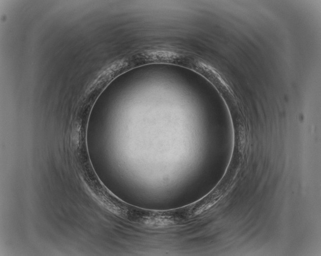 X0000086060451200703301045