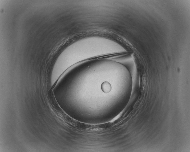 X0000086060452200703301045