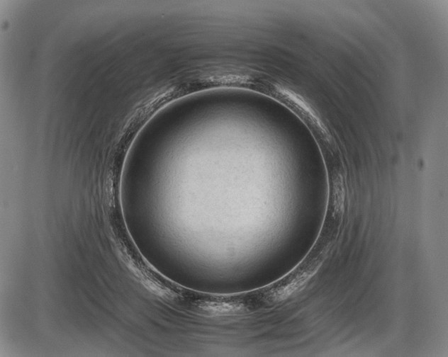 X0000086060453200703301045