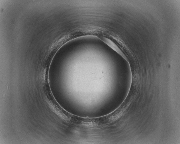 X0000086060454200703301045