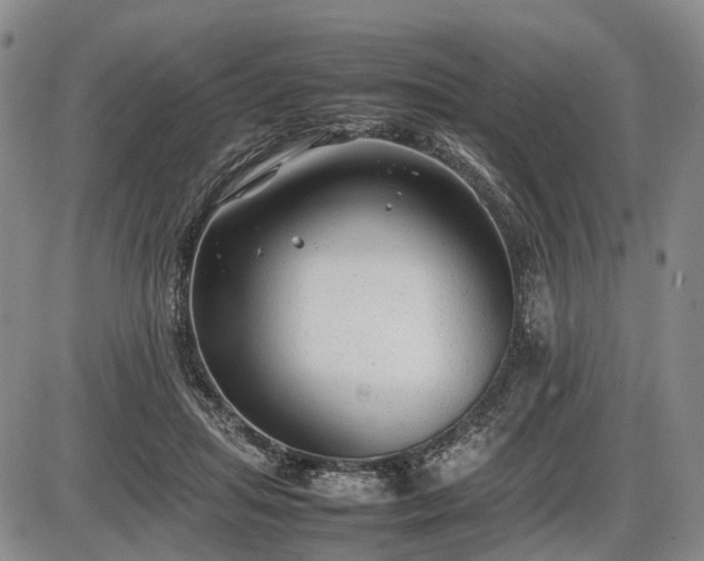 X0000086060455200703301045