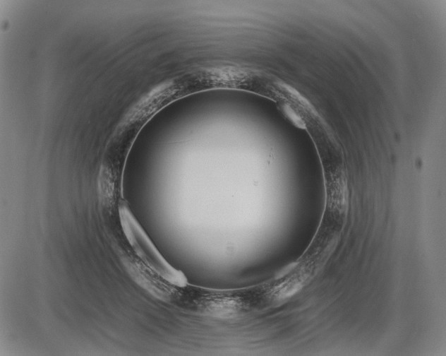 X0000086060456200703301045