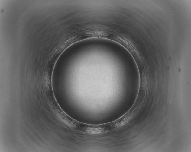 X0000086060457200703301045