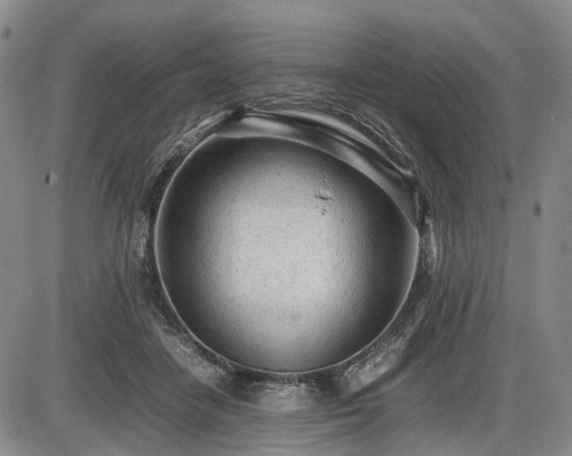 X0000086060458200703301045