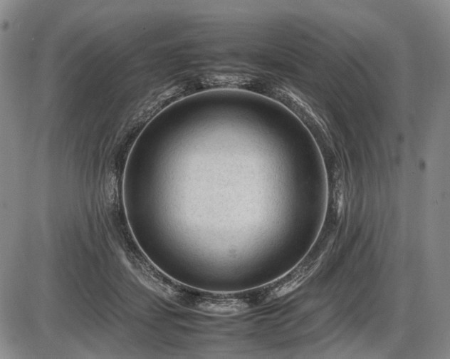 X0000086060459200703301045