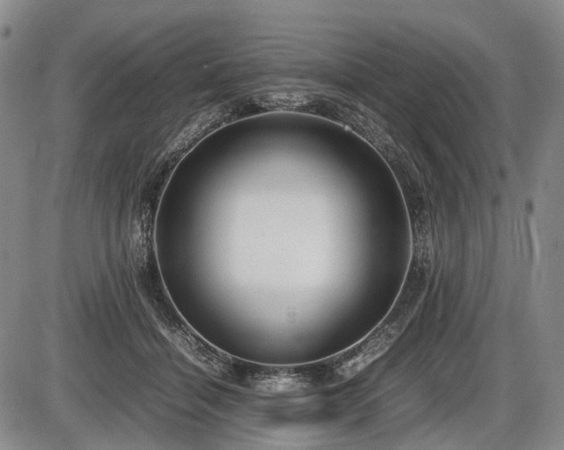 X0000086060460200703301045