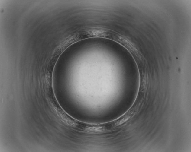 X0000086060461200703301045