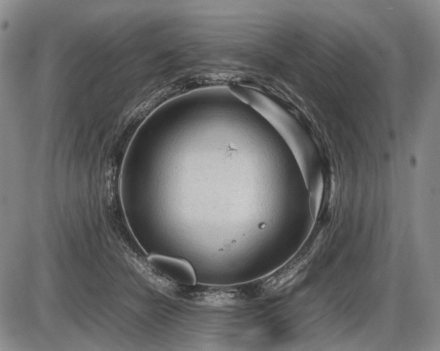 X0000086060462200703301045