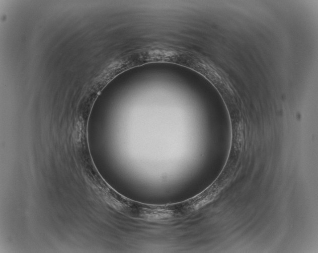 X0000086060463200703301045