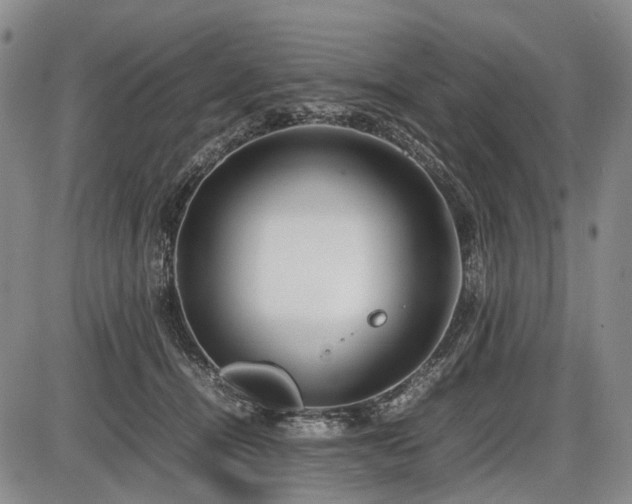 X0000086060464200703301045