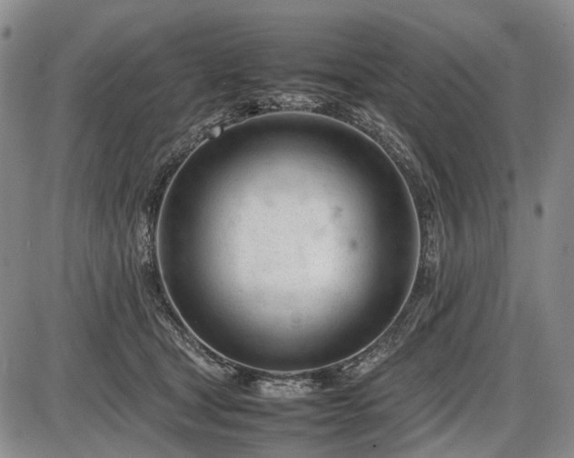 X0000086060465200703301045