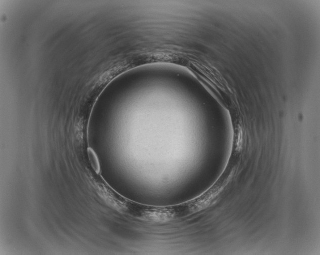 X0000086060466200703301045