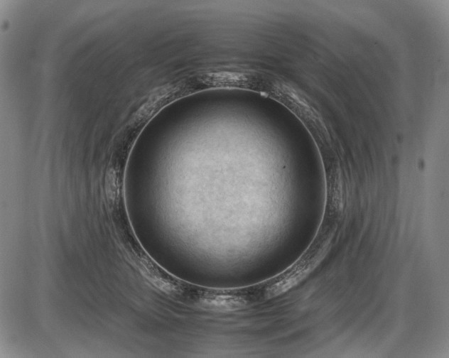 X0000086060467200703301045