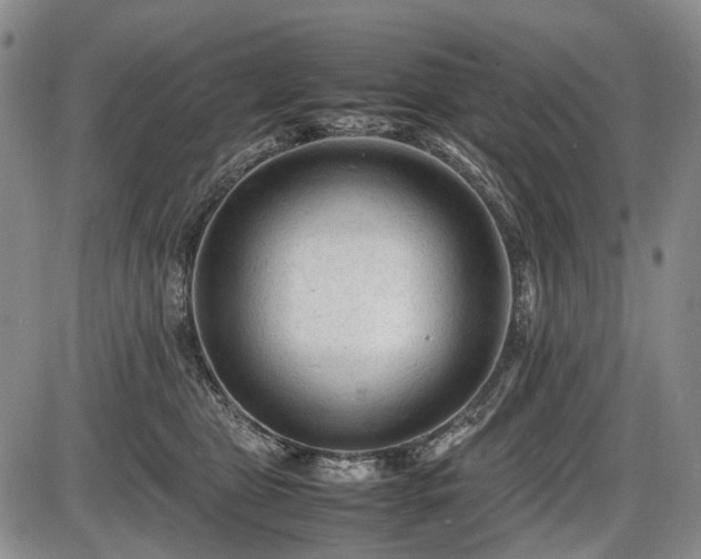 X0000086060469200703301045