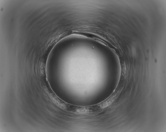 X0000086060470200703301045