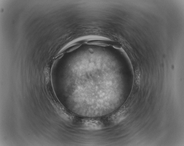 X0000086060471200703301045