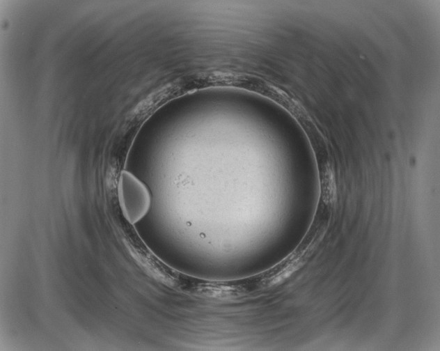 X0000086060472200703301045