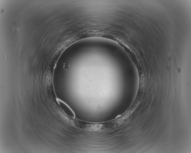 X0000086060474200703301045