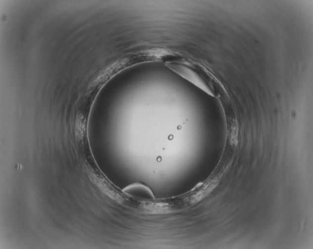 X0000086060476200703301045