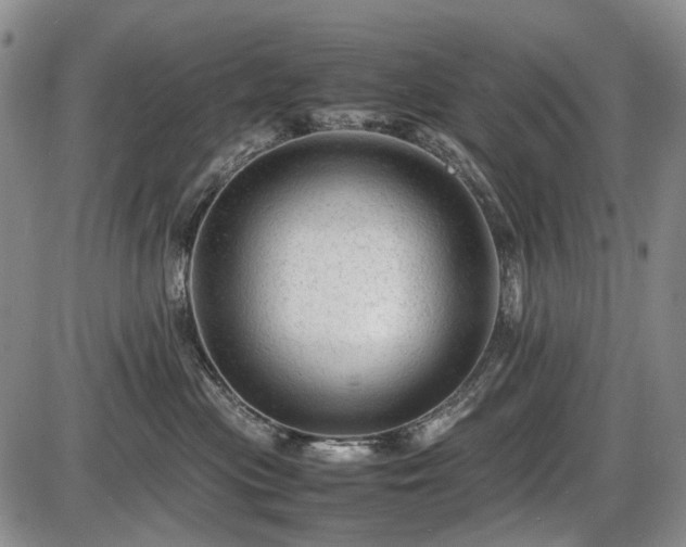 X0000086060477200703301045