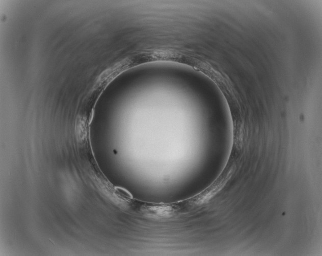 X0000086060478200703301045