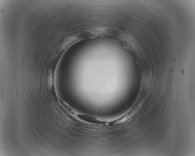 X0000086060479200703301045