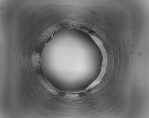 X0000086060480200703301045