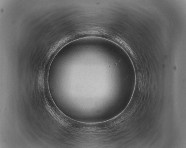 X0000086060482200703301045