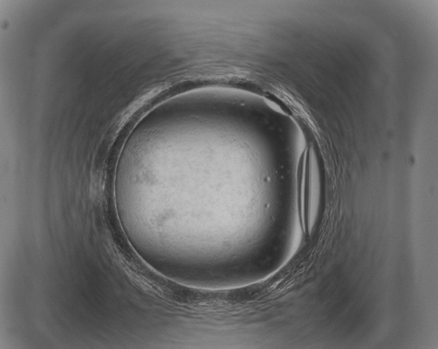 X0000086060483200703301045