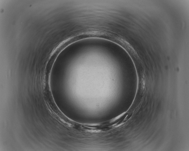 X0000086060484200703301045