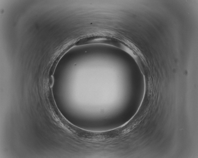 X0000086060485200703301045