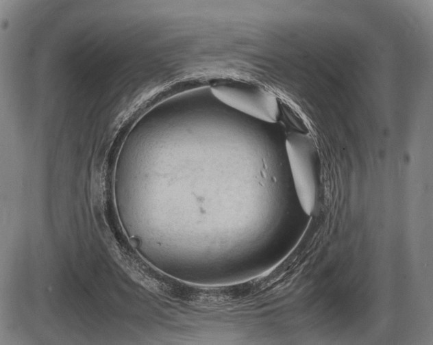 X0000086060487200703301045