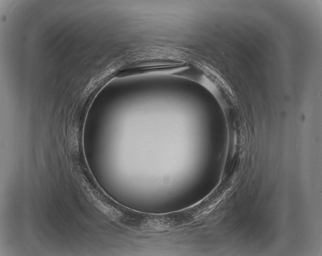 X0000086060489200703301044