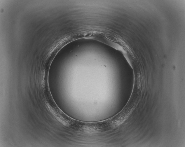 X0000086060490200703301044