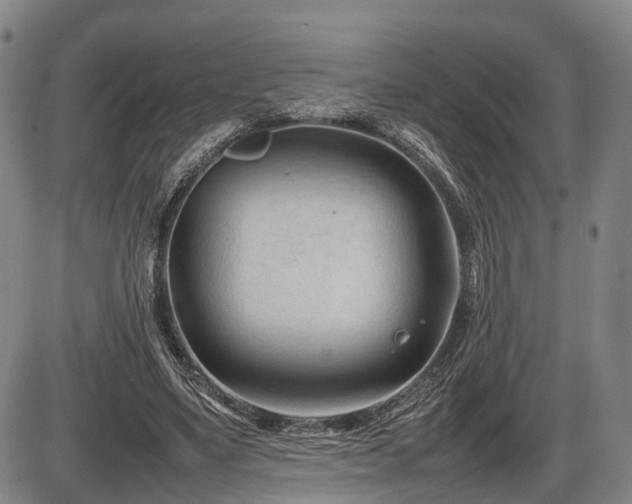 X0000086060491200703301044