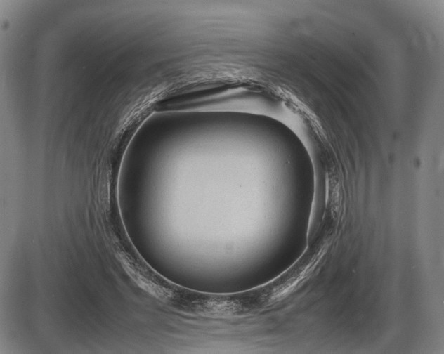 X0000086060493200703301044