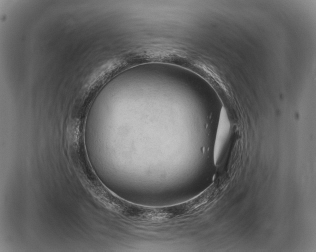 X0000086060495200703301044