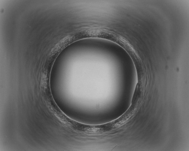 X0000086060497200703301044