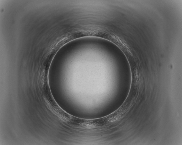 X0000086060498200703301044