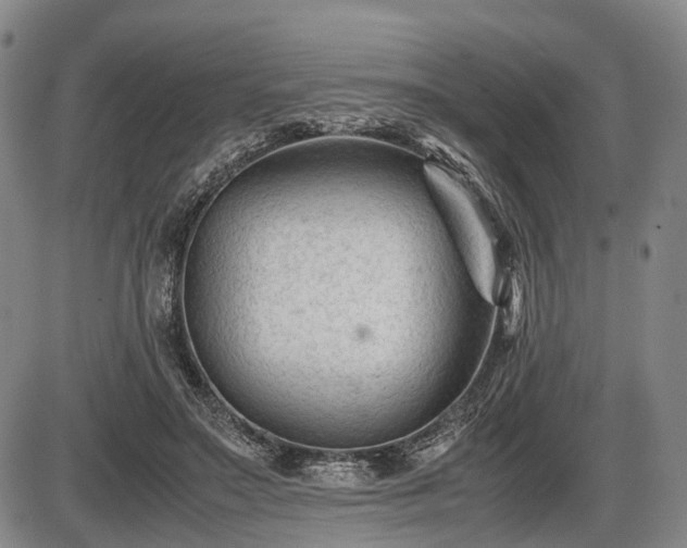 X0000086060499200703301044