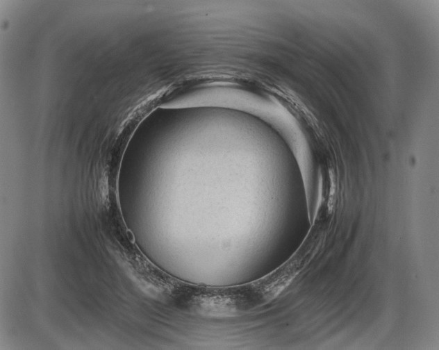 X0000086060500200703301044