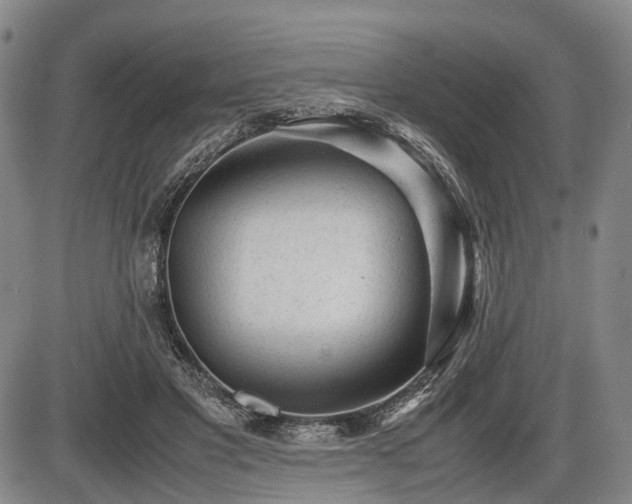 X0000086060501200703301044