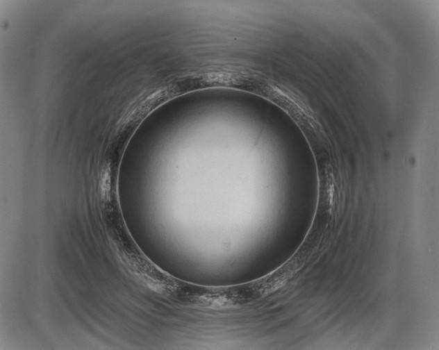 X0000086060502200703301044