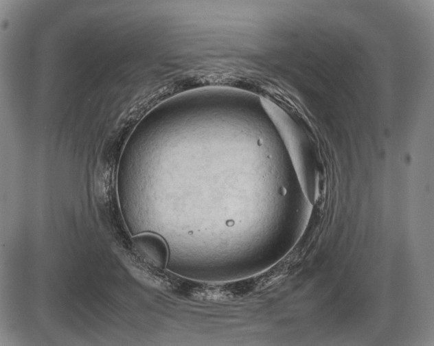 X0000086060503200703301044