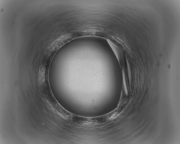 X0000086060504200703301044