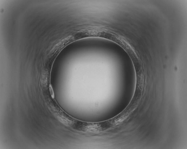 X0000086060505200703301044