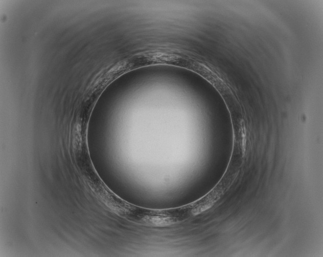 X0000086060506200703301044